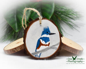 A hand-painted wood slice Christmas ornament with a belted kingfisher available for purchase at Cove Creek Photography.